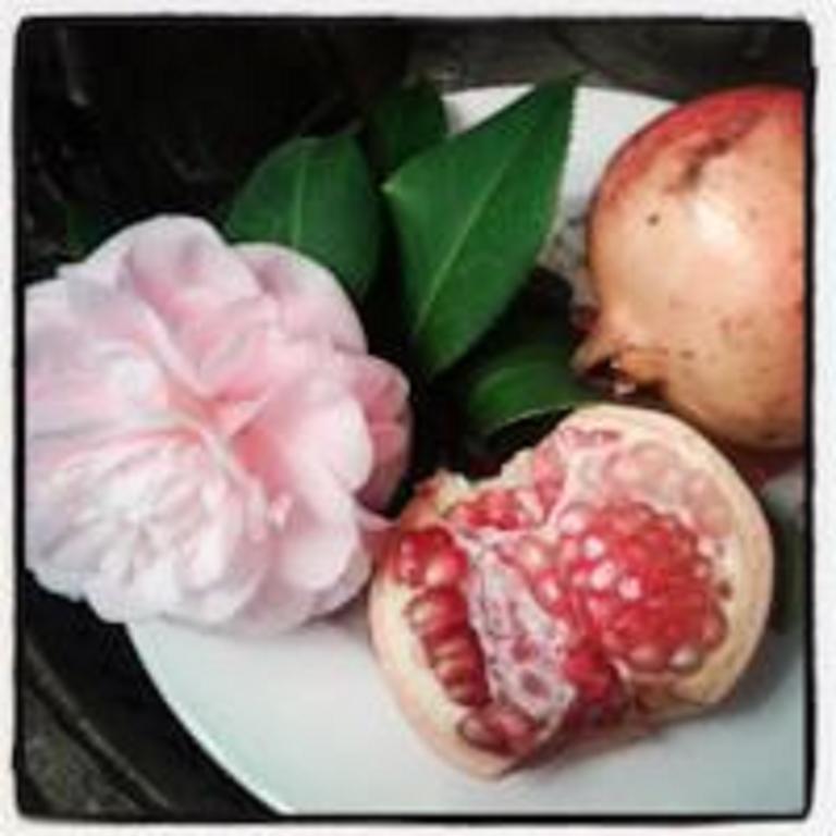 Giardino Della Melagrana Bed & Breakfast Floransa Dış mekan fotoğraf